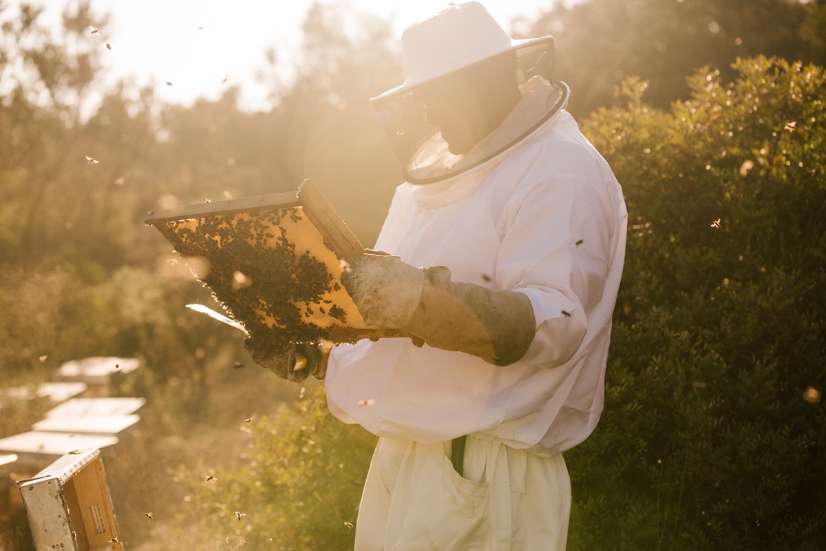 Miel artesanal en tarro de cristal de Miel Hermanos Gallardo